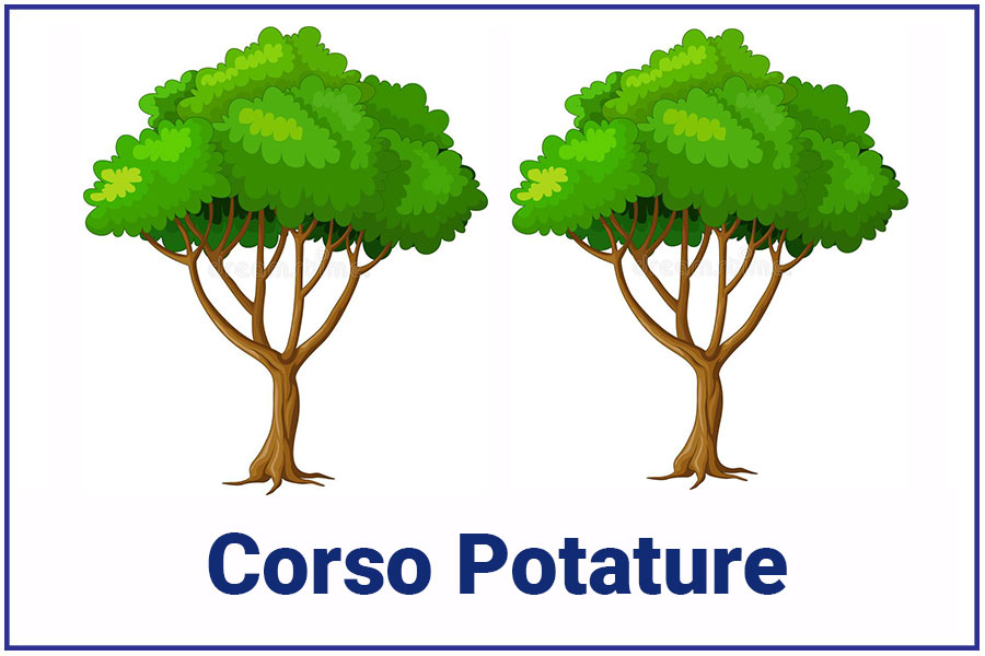 CORSO-POTATURE ROMA CORSO-POTATURE ROMA