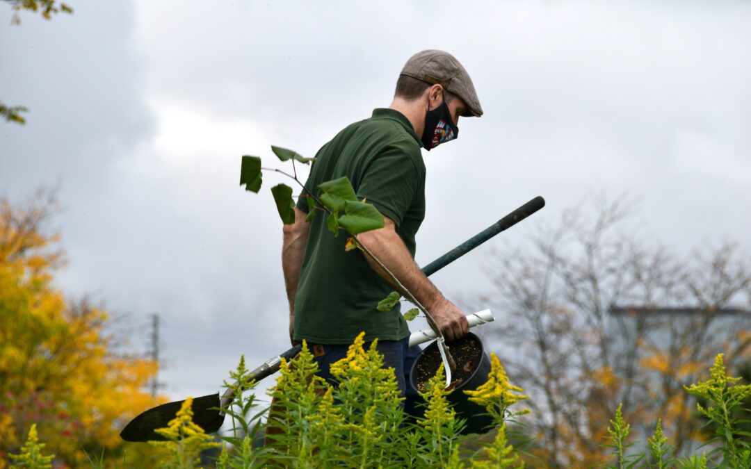 Nuove regole per essere Manutentore del verde