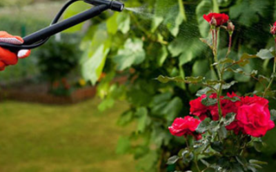 L’Utilità del Corso per il Patentino per Uso di Prodotti Fitosanitari presso il Centro di Formazione Cultura d’Impresa