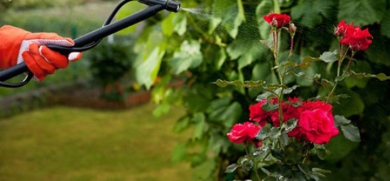 L’Utilità del Corso per il Patentino per Uso di Prodotti Fitosanitari presso il Centro di Formazione Cultura d’Impresa