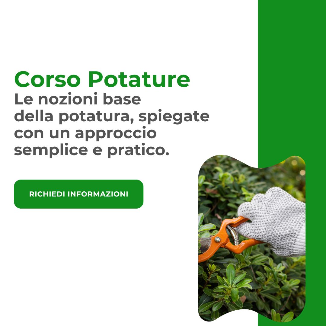 Copy of Marketing (4) corso potature