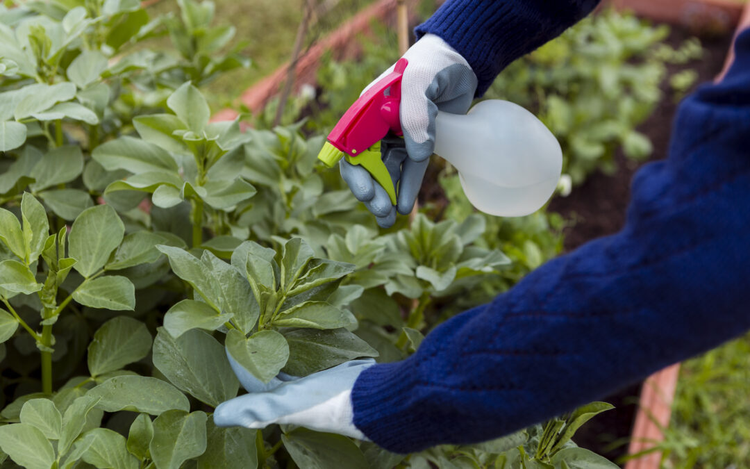 Corso per il Patentino Fitosanitario: perché è fondamentale per la tua attività agricola