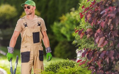 Diventare Manutentore del Verde: il corso che apre le porte a una professione sempre più richiesta