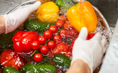 Corso HACCP: perché è importante per la tua attività
